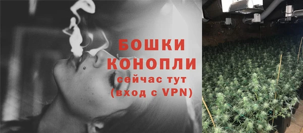 каннабис Богданович