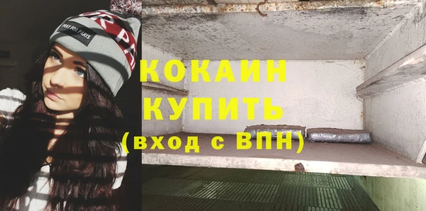 индика Бугульма