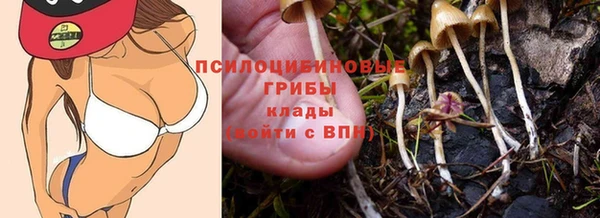 метамфетамин Богородицк