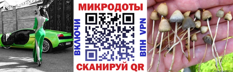 Купить  Коряжма  Галлюциногенные грибы MAGIC MUSHROOMS 