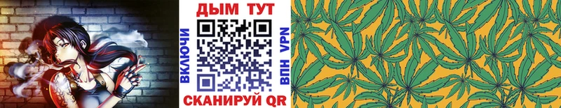 Марихуана сатива  Купить  Коряжма 